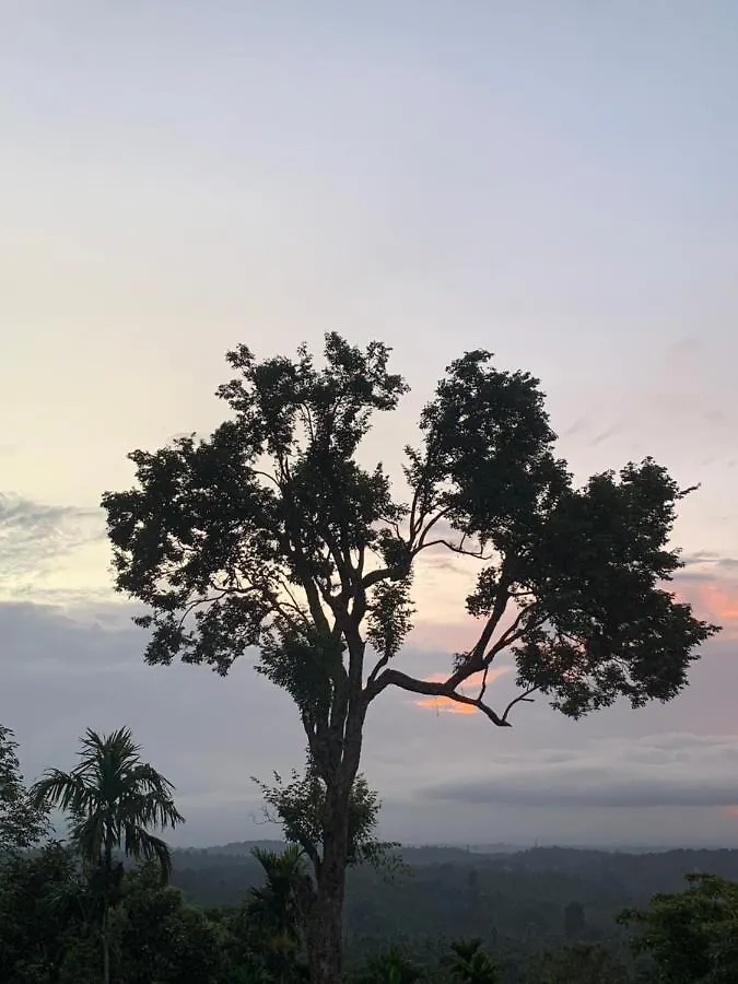 Aambal Villa Homestay Meenangadi