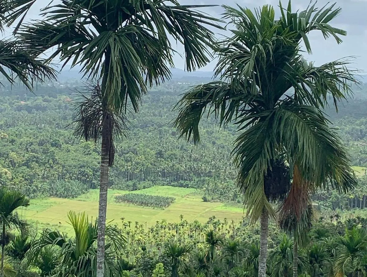 Aambal Villa Homestay Meenangadi