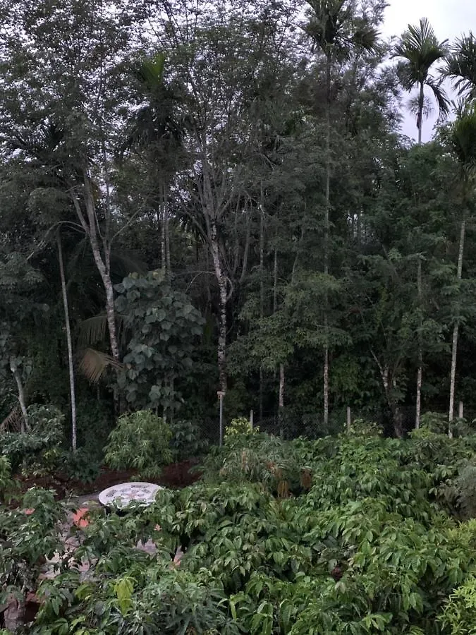 Aambal Villa Homestay Meenangadi